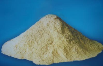 ���l�t�v����